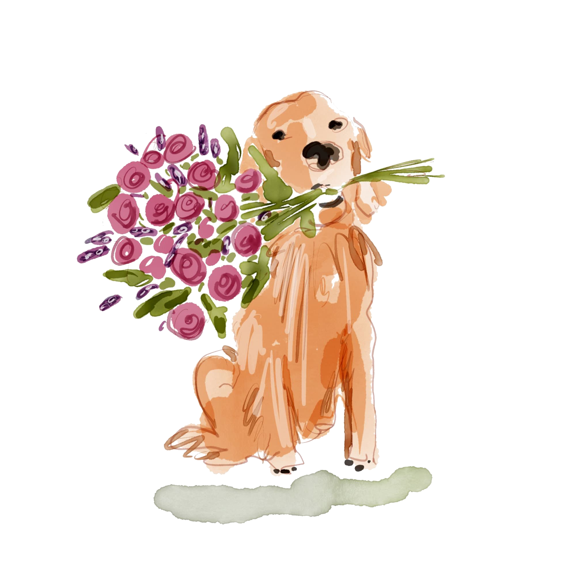 dog